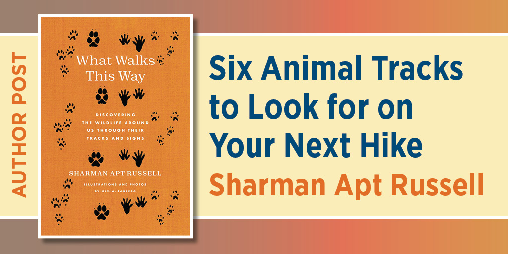 Promotional graphic for author post "Six Animal Tracks to Look for on Your Next Hike." Sharman Apt Russell