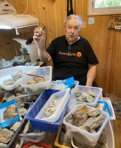 Skilled amateur paleontologist Keijo Hiltunen in his workshop amid a treasury of Ordovician fossils waiting to be excavated from Åland limestone.