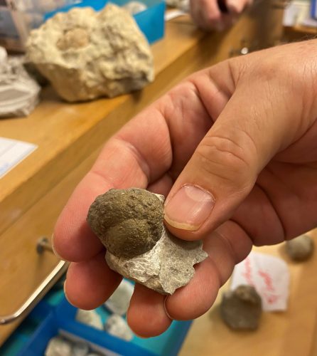 Example of a meteorite fragment in Åland limestone from the Lumparn crater. A larger meteorite fragment on the bench behind is encased in an unusually dense breccia of limestone.